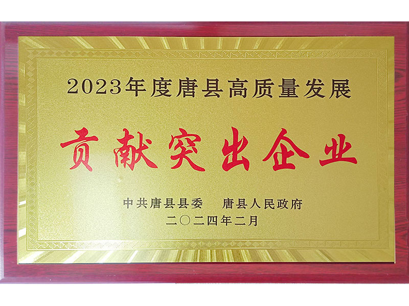 貢獻(xiàn)突出企業(yè)